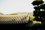 IMGP7084s1c