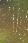 IMGPx014s1c