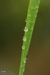 IMGPx104s1c