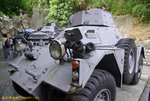 bIMGP3618s8c