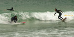 IMGP7673s1c