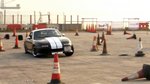 大眼仔 (2/2)