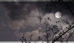 IMG_8383+