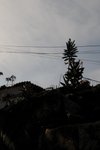 DSC_0514