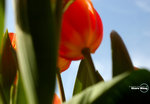 DSC_5193_3