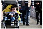 CKL_8005
