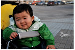 CKL_8019