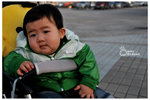 CKL_8020
