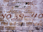DSCN2276
