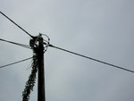 DSCN2277