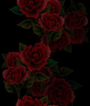 css-rose-01