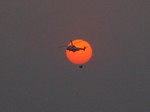 The GFS helicopter lifts water from the sea again and flies across the setting sun.
