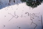 Water lily stalks in South Lake


南湖內蓮花枯枝跟倒影拼成有趣的圖案