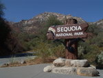 Sequoia National Park紅杉國家公園