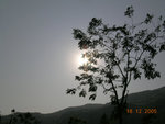 DSCN3512