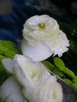 DSCN8179