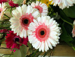 DSCN8197