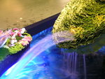 DSCN8396