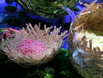 DSCN8397