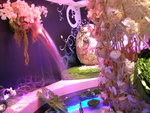 DSCN8398