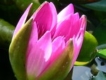 DSCN4993