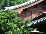 DSCN5073