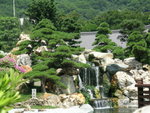 DSCN7355