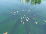 DSCN7365