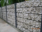 蚝牆
DSCN3763
