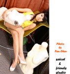 DPP_65_copy