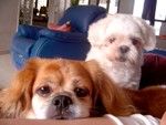 ＊∼Ｃoｏkｉe+Ｒuｂy∼＊
