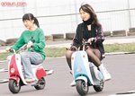 太陽報