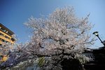 RN2_2327