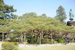 RN2_2593