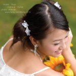 yoyo_0822105r[1]