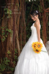 yoyo_0822106r[1]