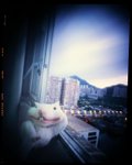 快門 : 4 min