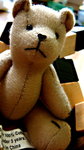bear