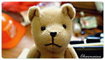 bear