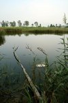 IMG_0525
