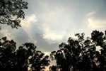 IMG_0559