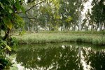 IMG_0567