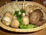 溫室什茹 Set