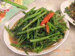 照片 008