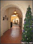 IMG_2750
