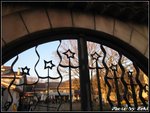 IMG_2793