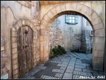 IMG_2795
