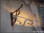 IMG_2798
