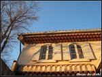 IMG_2799