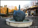 IMG_2810